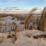 A serene beachscape at dusk with golden sunlight casting warm hues over the sand dunes. Sparse vegetation and tall grasses sway gently in the breeze, while a weathered wooden fence meanders along the dune’s edge, leading towards a tranquil sea that meets the soft gradient of a clear sky.